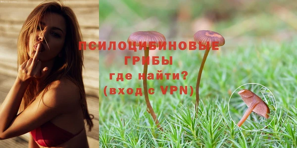 спайс Балабаново
