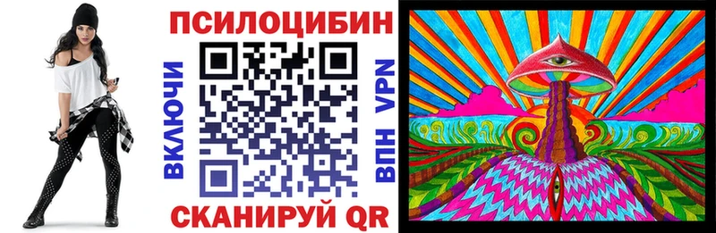 Псилоцибиновые грибы Psilocybine cubensis  Нолинск 